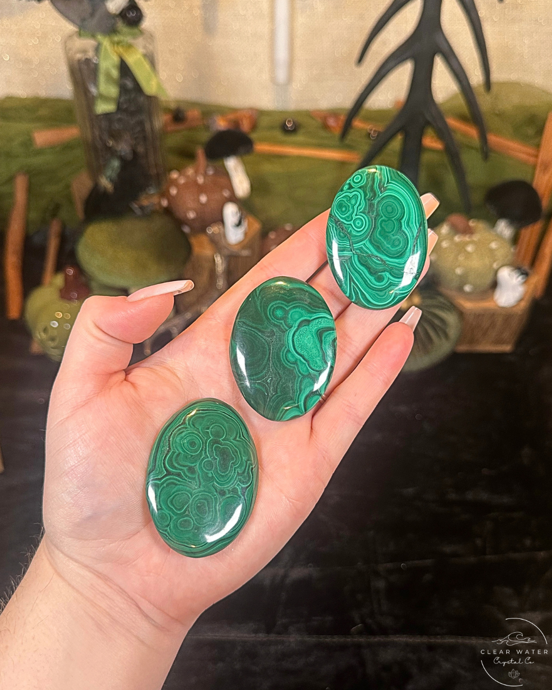 Malachite Palmstone | The Congo