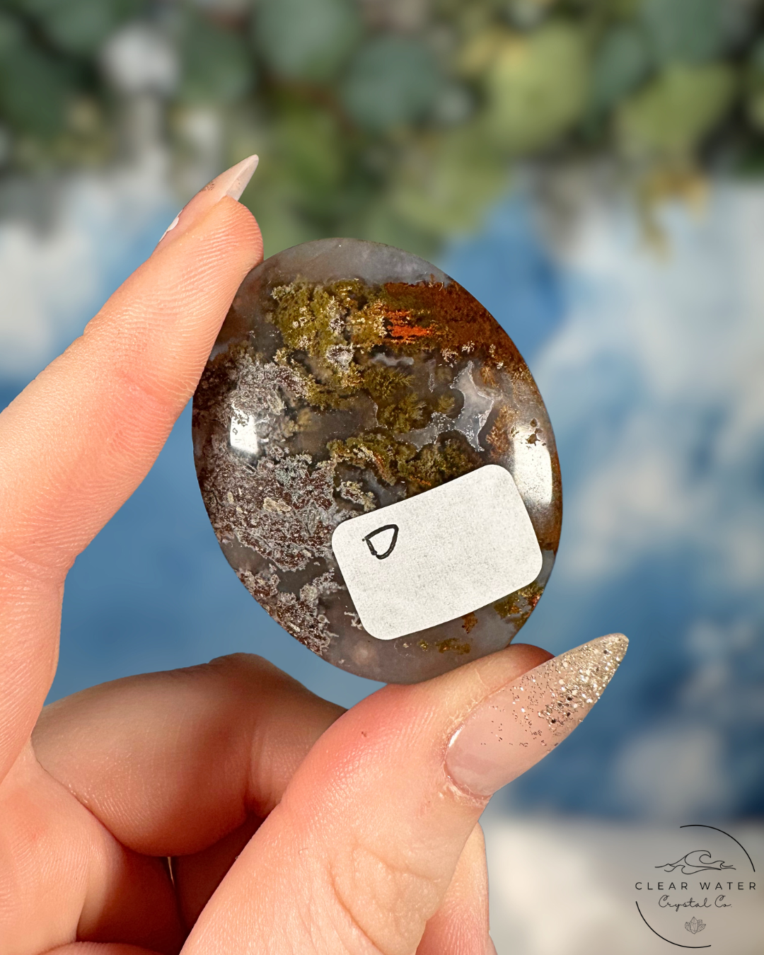 Indonesian Scenic Moss Agate Palmstone: Forest Whispers
