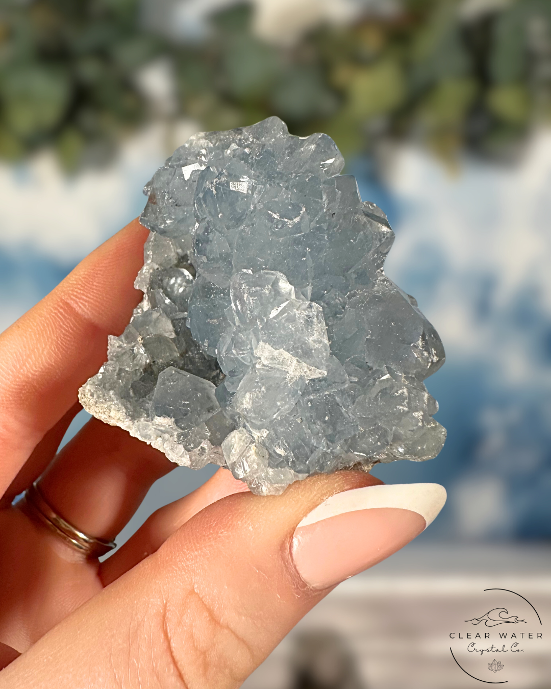 Celestite Clusters: Whispers of the Heavens