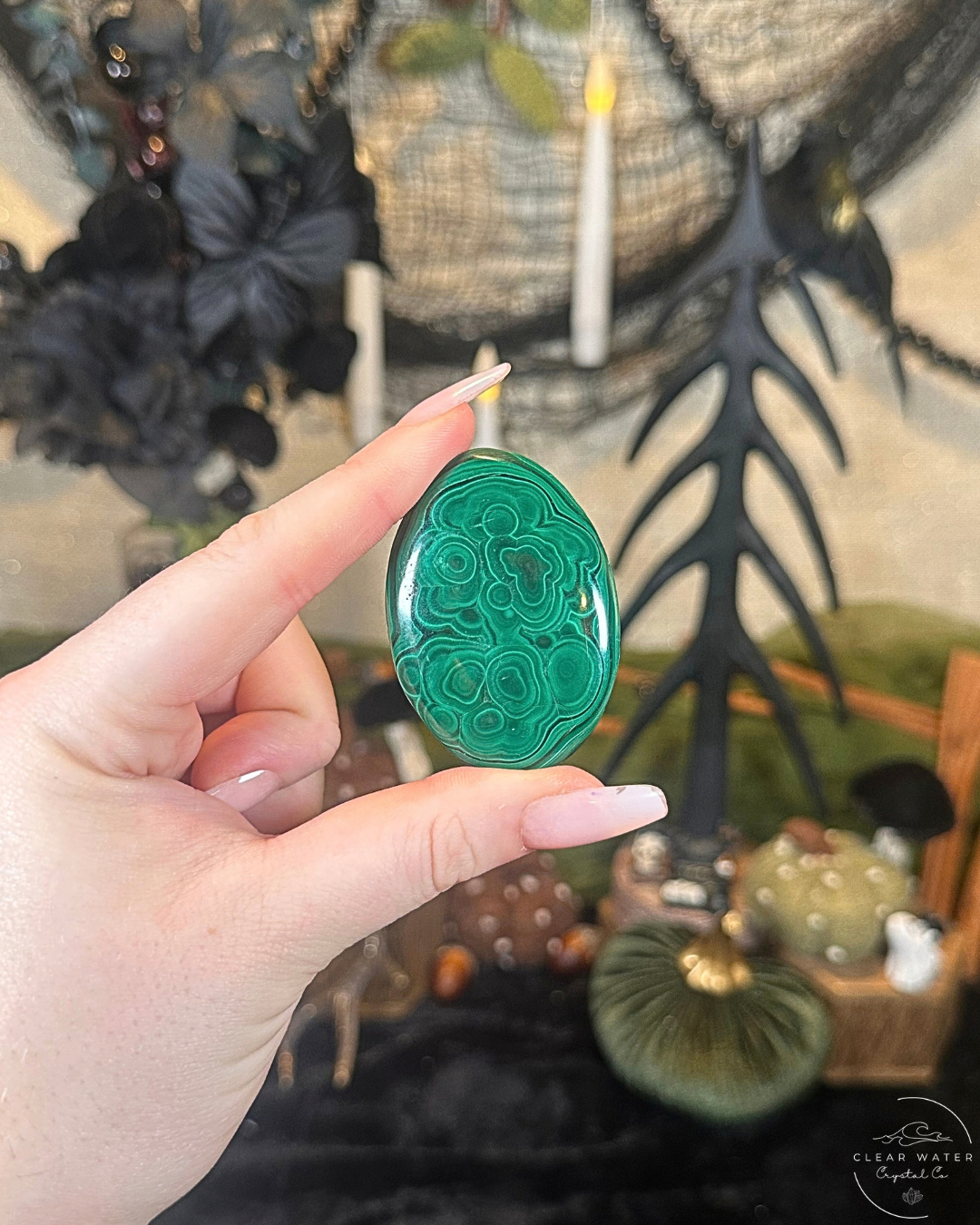 Malachite Palmstone | The Congo