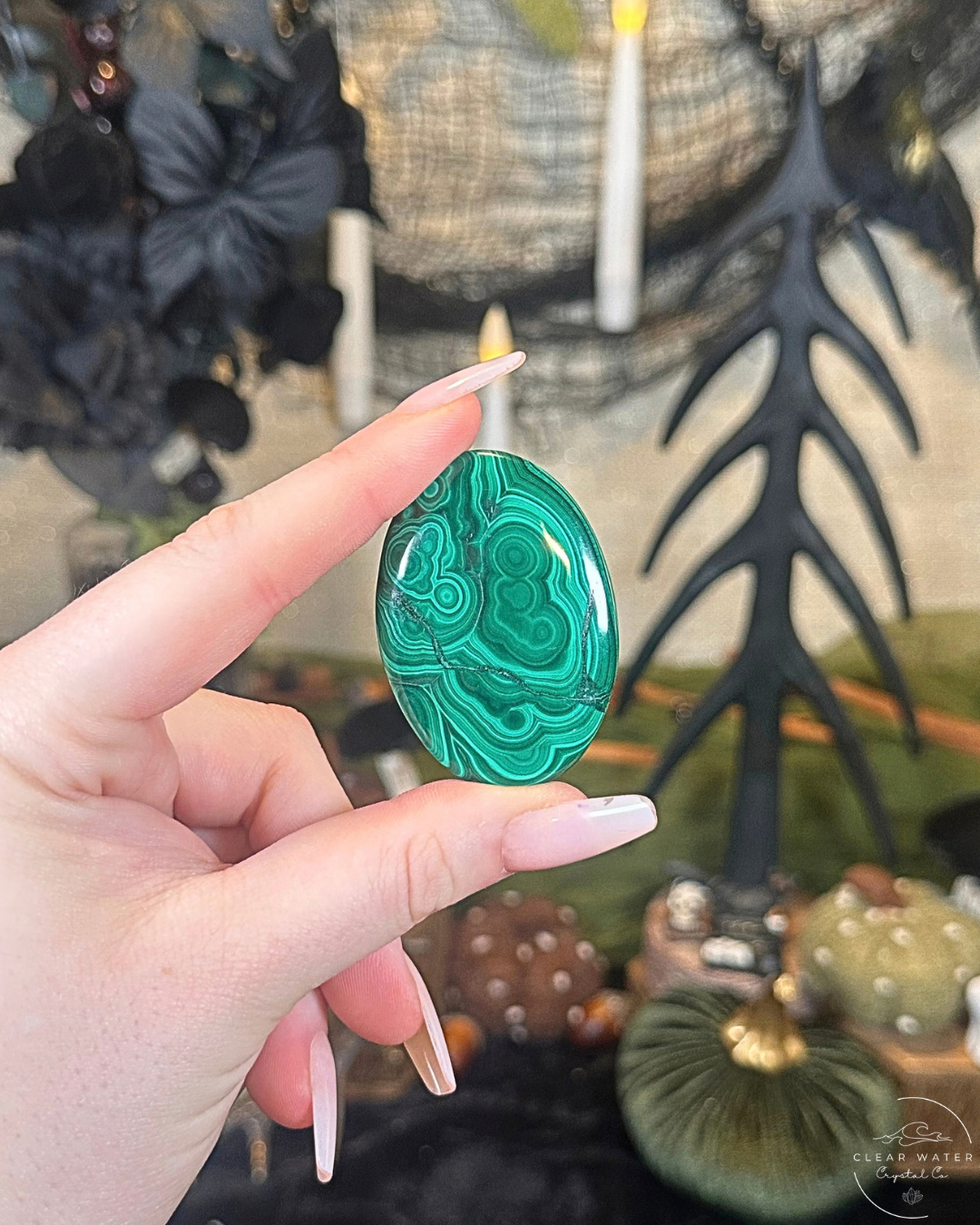 Malachite Palmstone | The Congo
