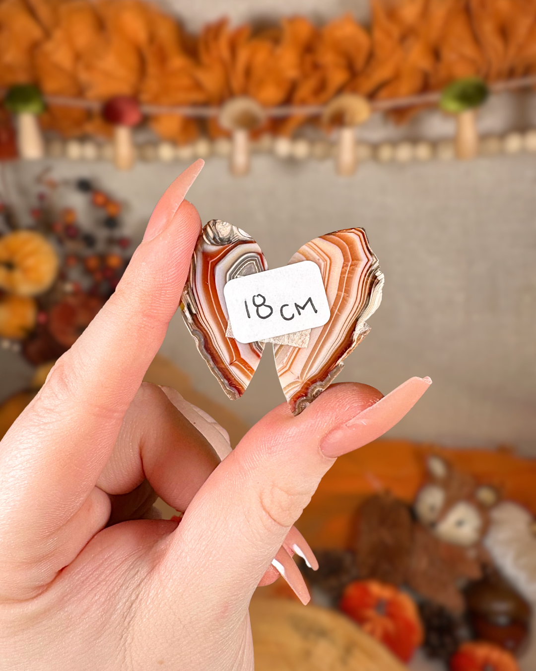 Carnelian Agate Pairs (Motifs) – Indonesia