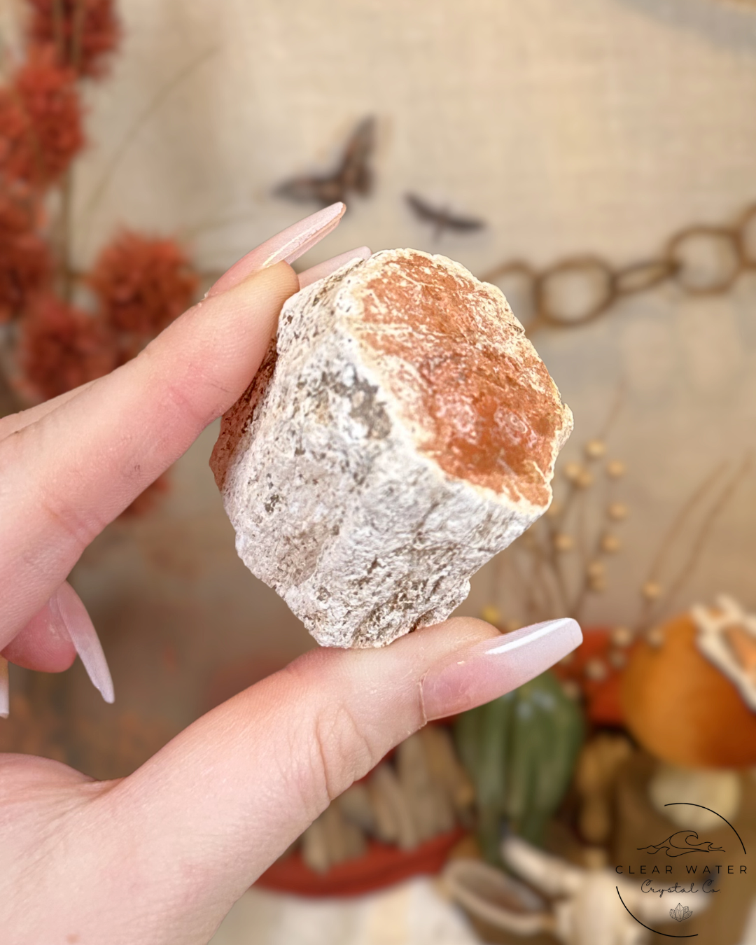Peach Petrified Wood Stump- Madagascar