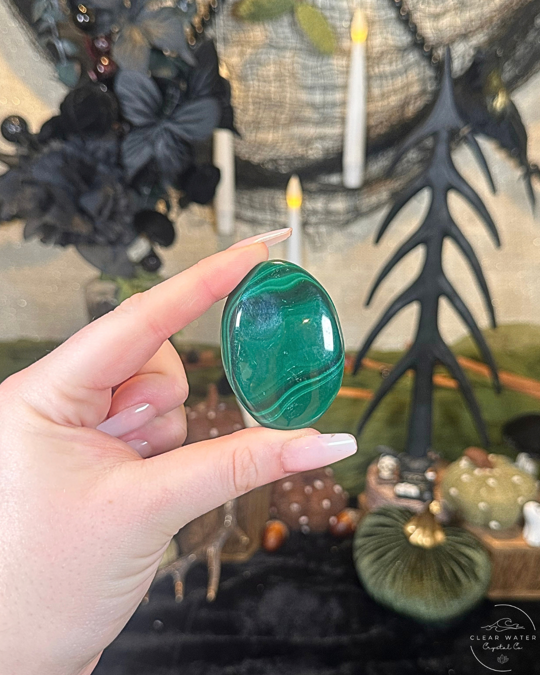 Malachite Palmstone | The Congo