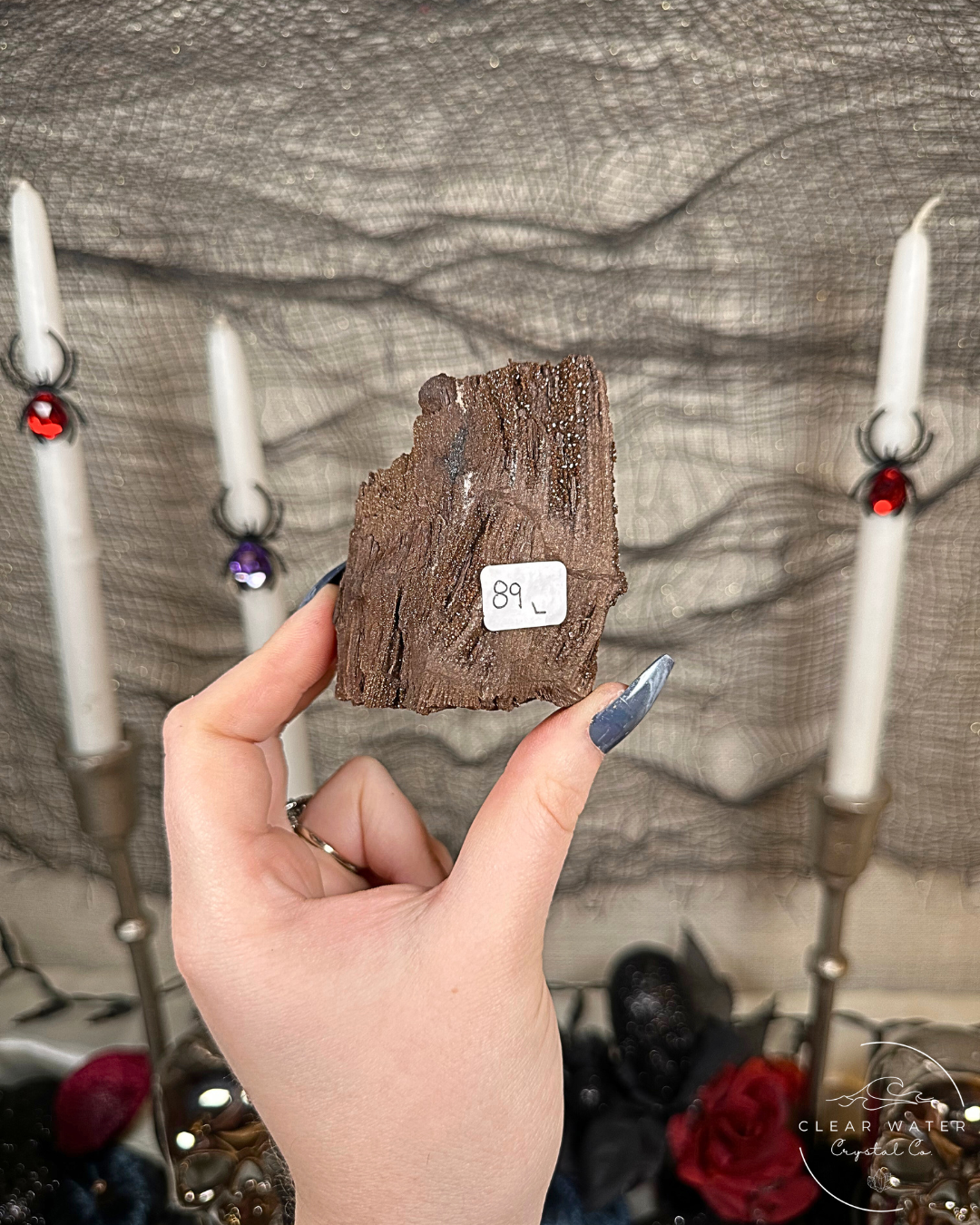 Permineralized Wood Specimens – Germany