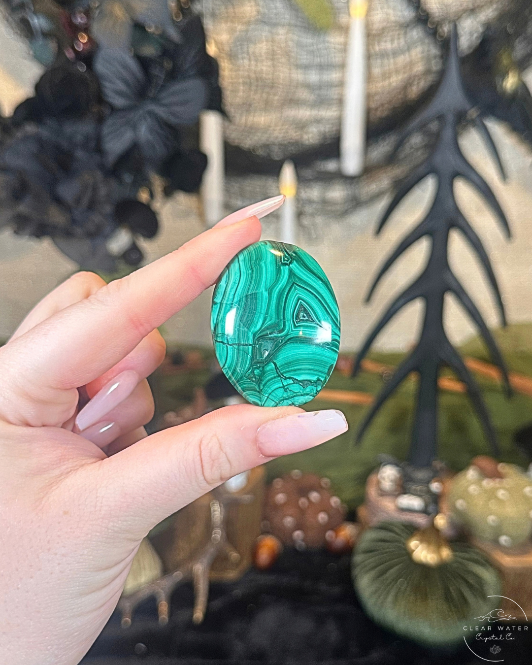 Malachite Palmstone | The Congo