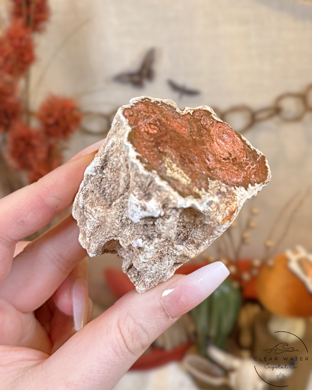 Peach Petrified Wood Stump- Madagascar