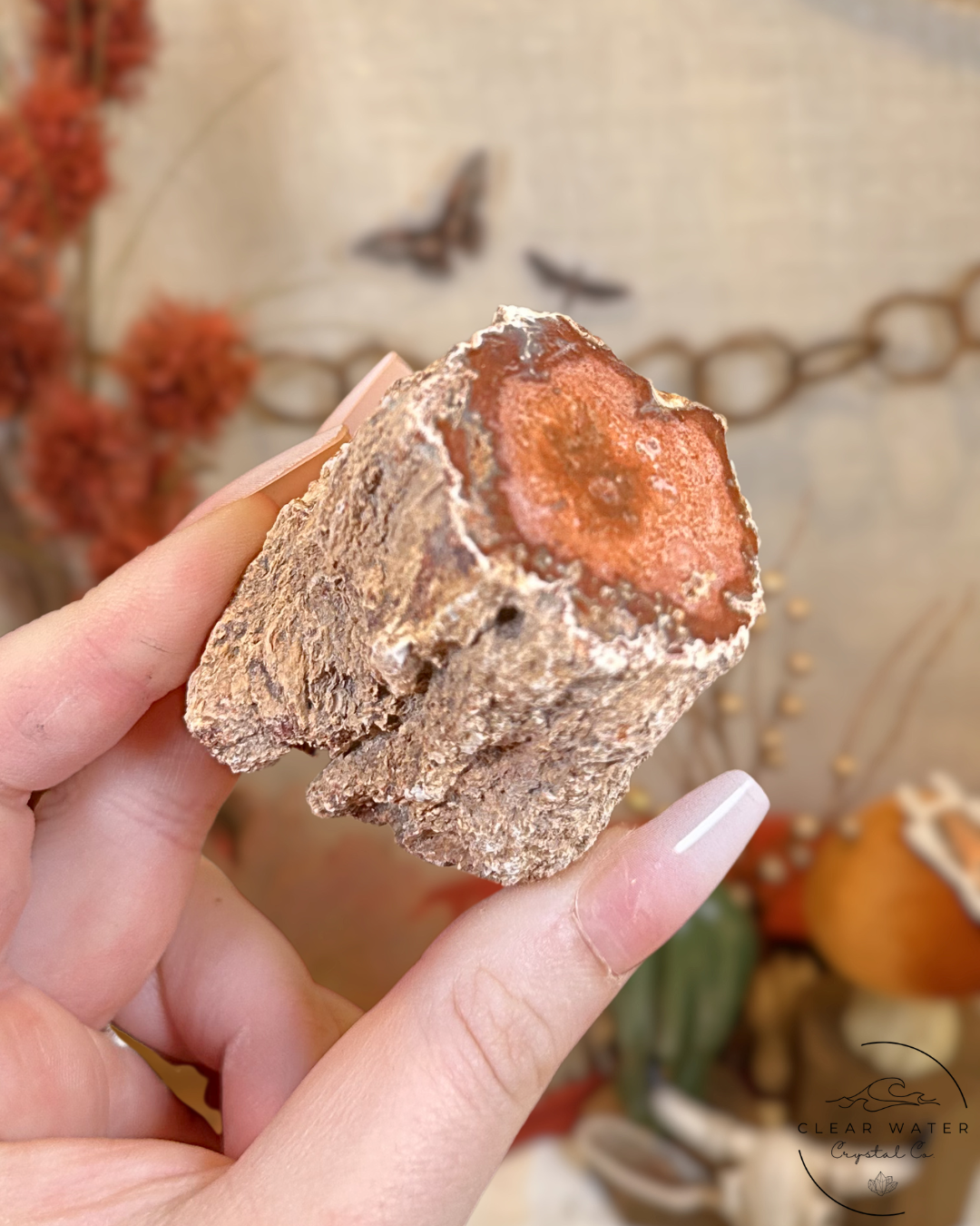 Peach Petrified Wood Stump- Madagascar