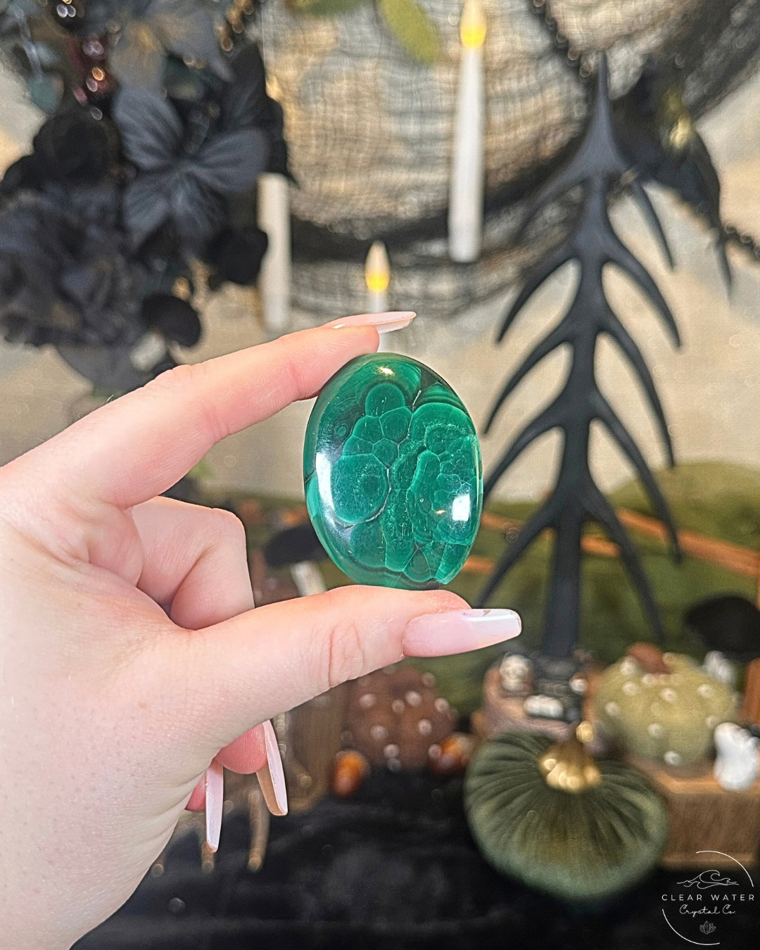 Malachite Palmstone | The Congo