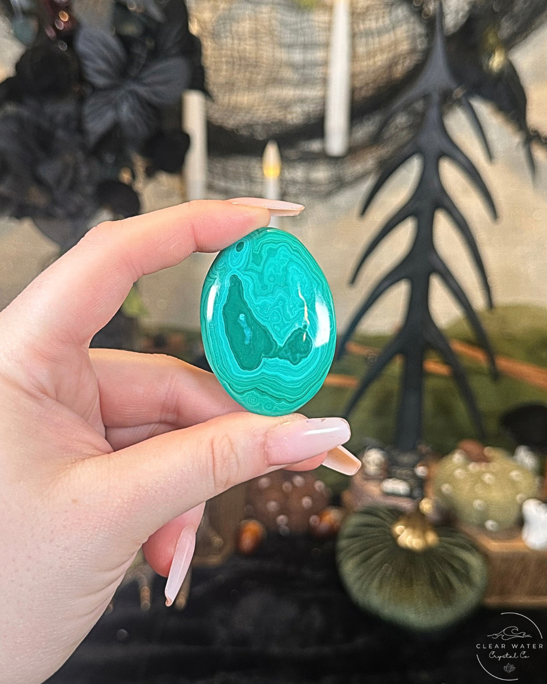 Malachite Palmstone | The Congo
