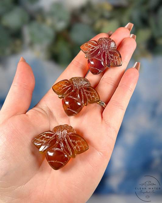 Indonesian UV Reactive Amber Bee – The Honeykeeper