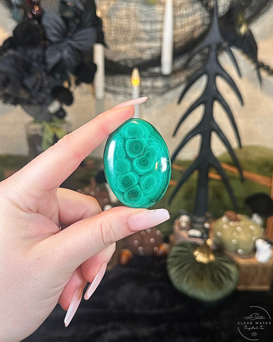 Malachite Palmstone | The Congo