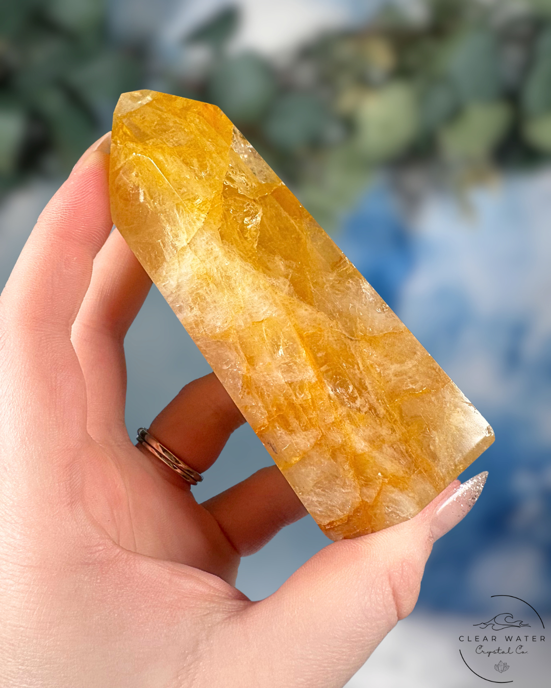 Brazilian Golden Healer Towers: Sunlit Wisdom
