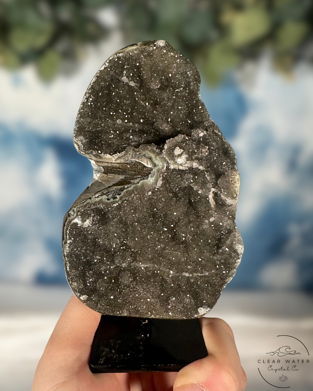 Black Amethyst on Stand