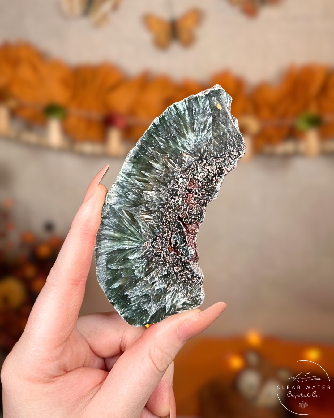 Seraphinite Slab- Angelwing