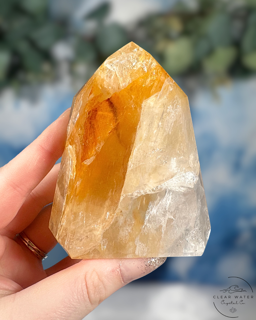 Brazilian Golden Healer Towers: Sunlit Wisdom