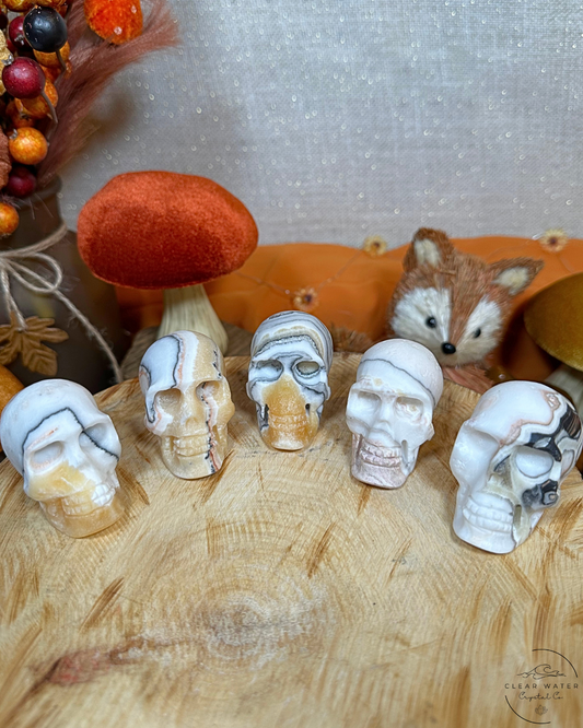 Mexican Onyx Skull- The Hearthguard