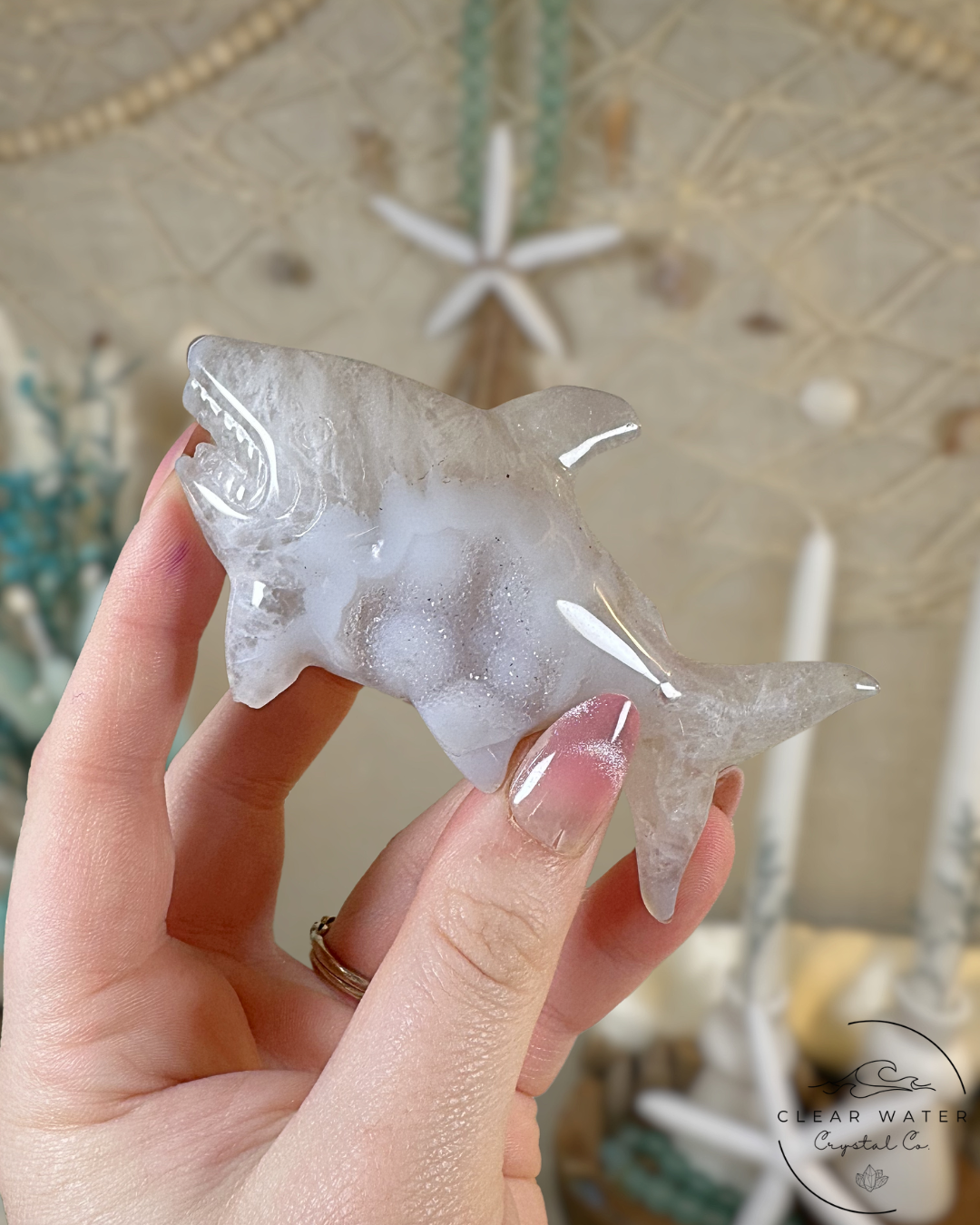 Druzy Agate Shark- Snowjaw