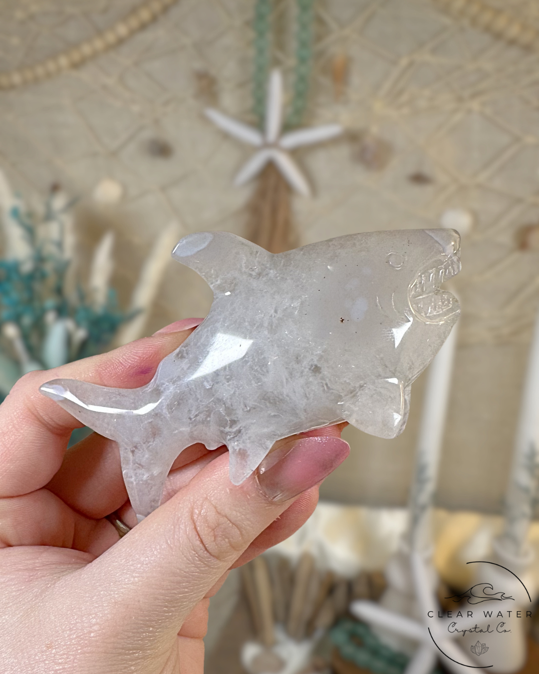 Druzy Agate Shark- Snowjaw