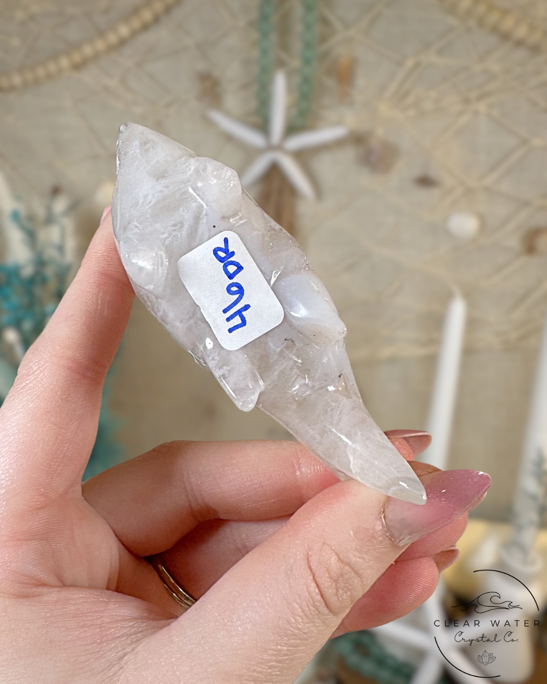 Druzy Agate Shark- Snowjaw