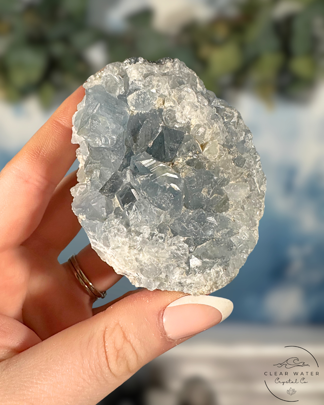 Celestite Clusters: Whispers of the Heavens