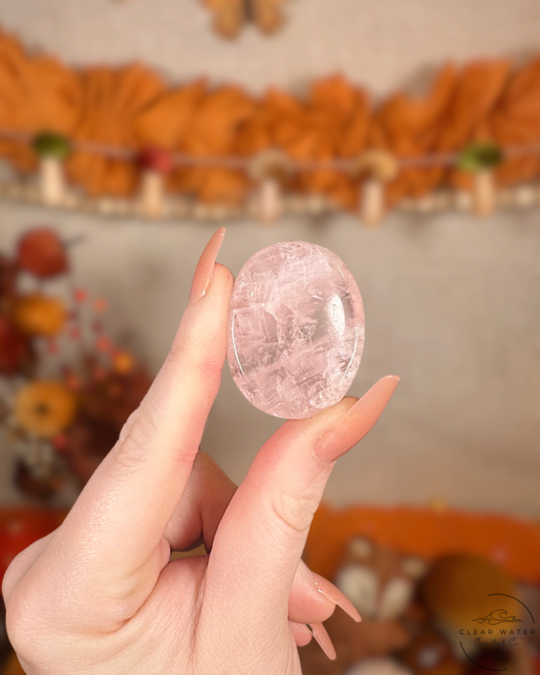 Aphrodite’s Alter Bundle
