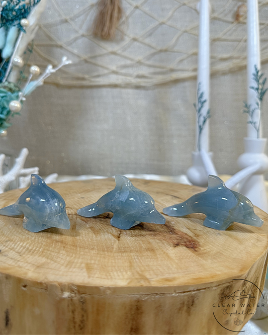 Blue Onyx Dolphin Carvings- Argentina