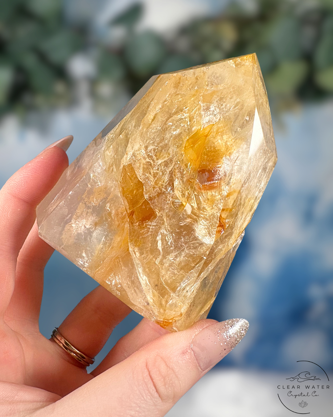 Brazilian Golden Healer Towers: Sunlit Wisdom