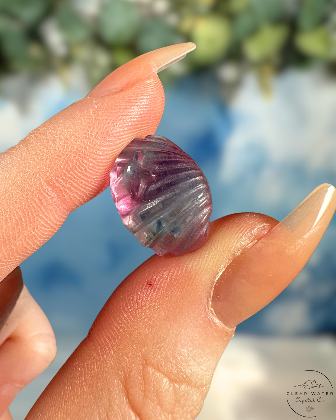 Fluorite Shell: Seashore Serenity
