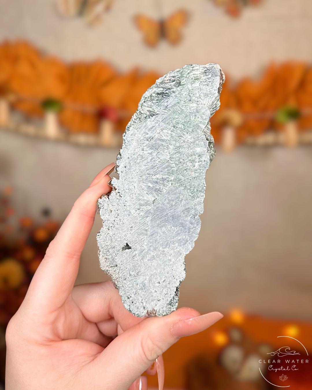 Seraphinite Slab- Angelwing