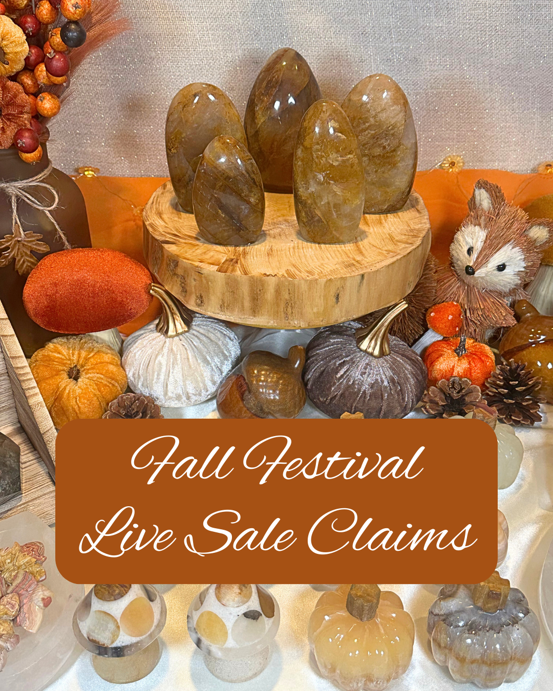 Fall Festival Live Sale- megan.buyze