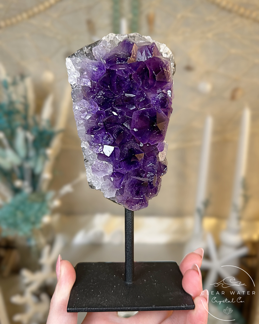 Indigo Iris – Amethyst Cluster on Stand (Brazil)