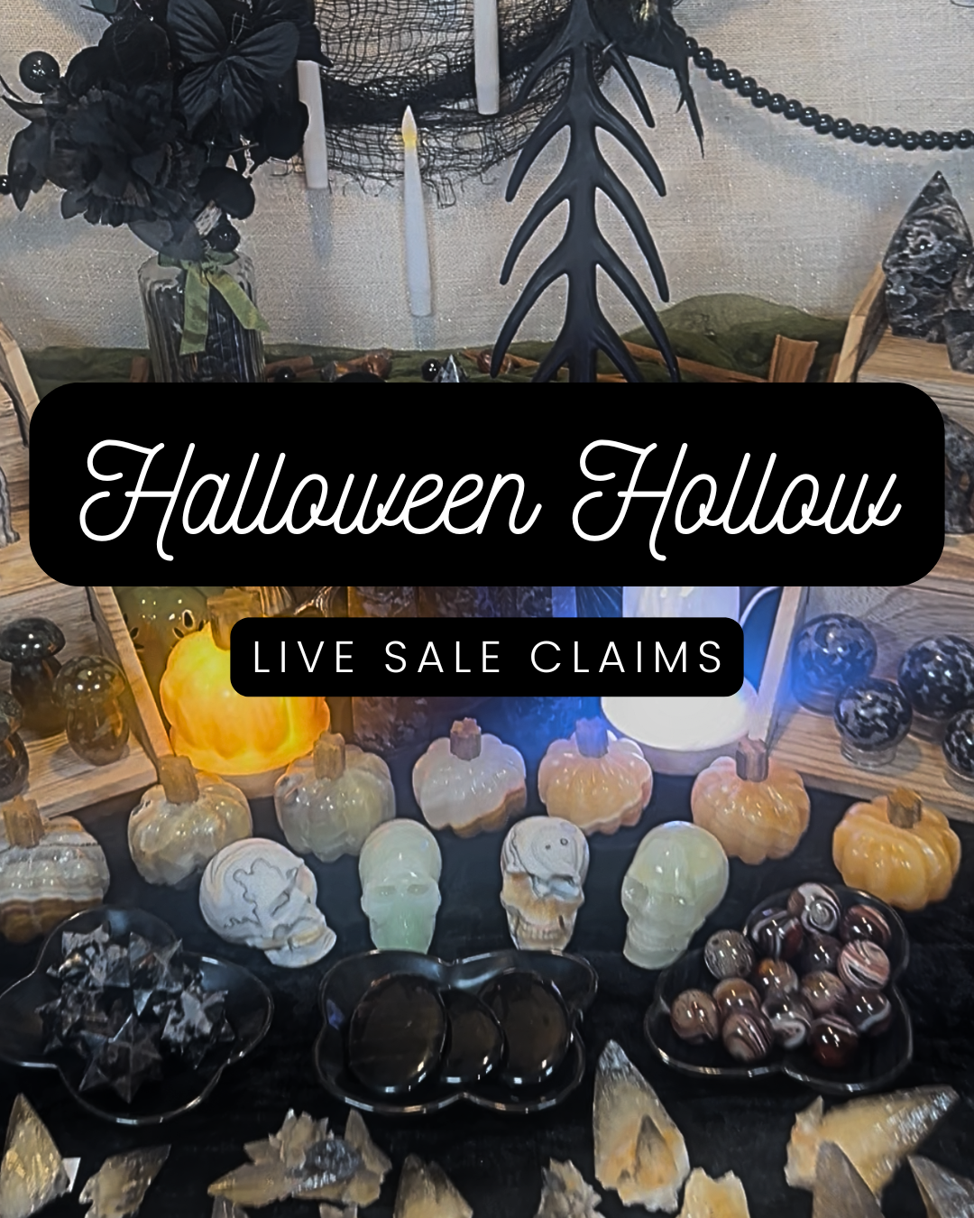 abi_b3o4- Live Sale Claims