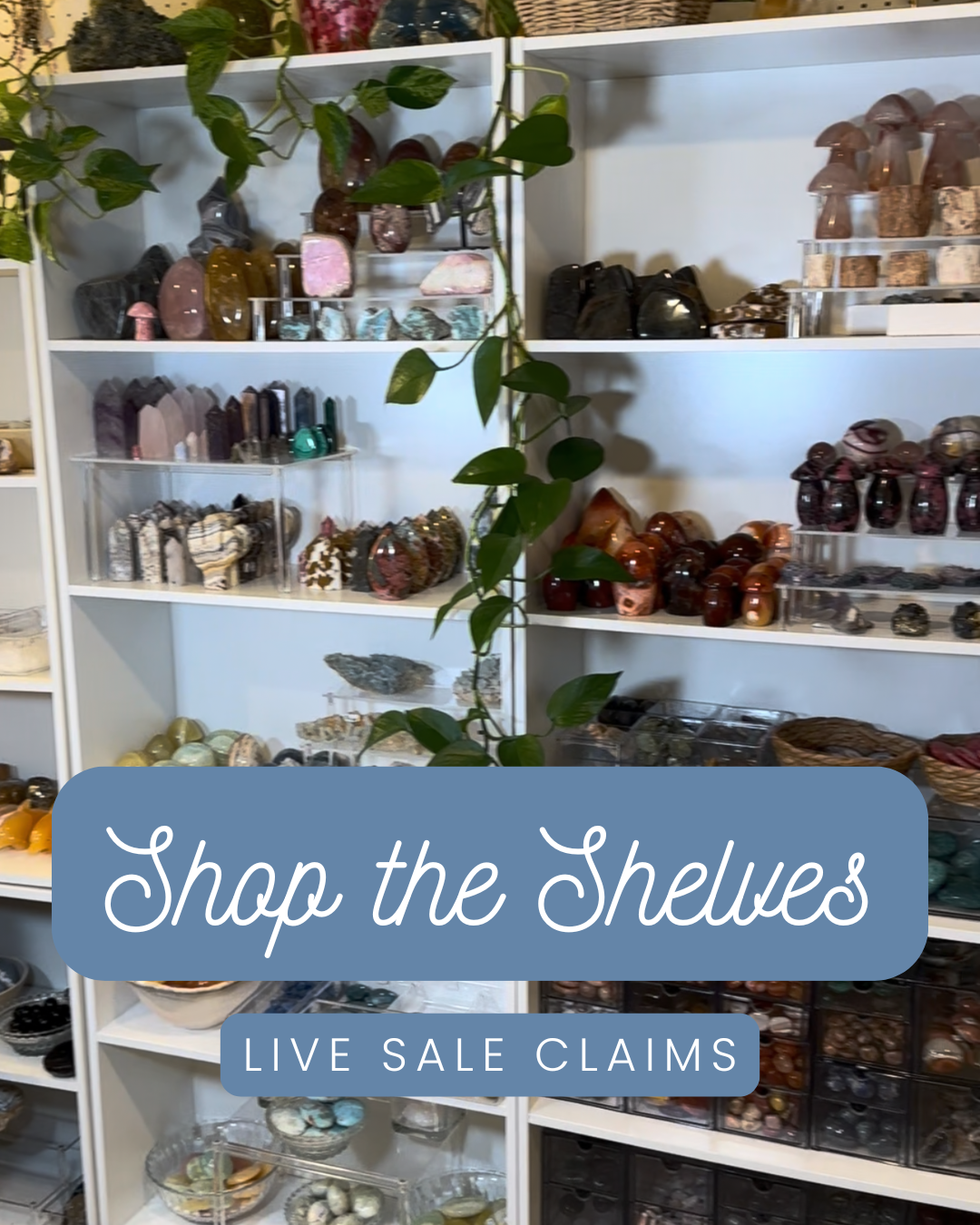 Live Sale Claims-  karkartetris